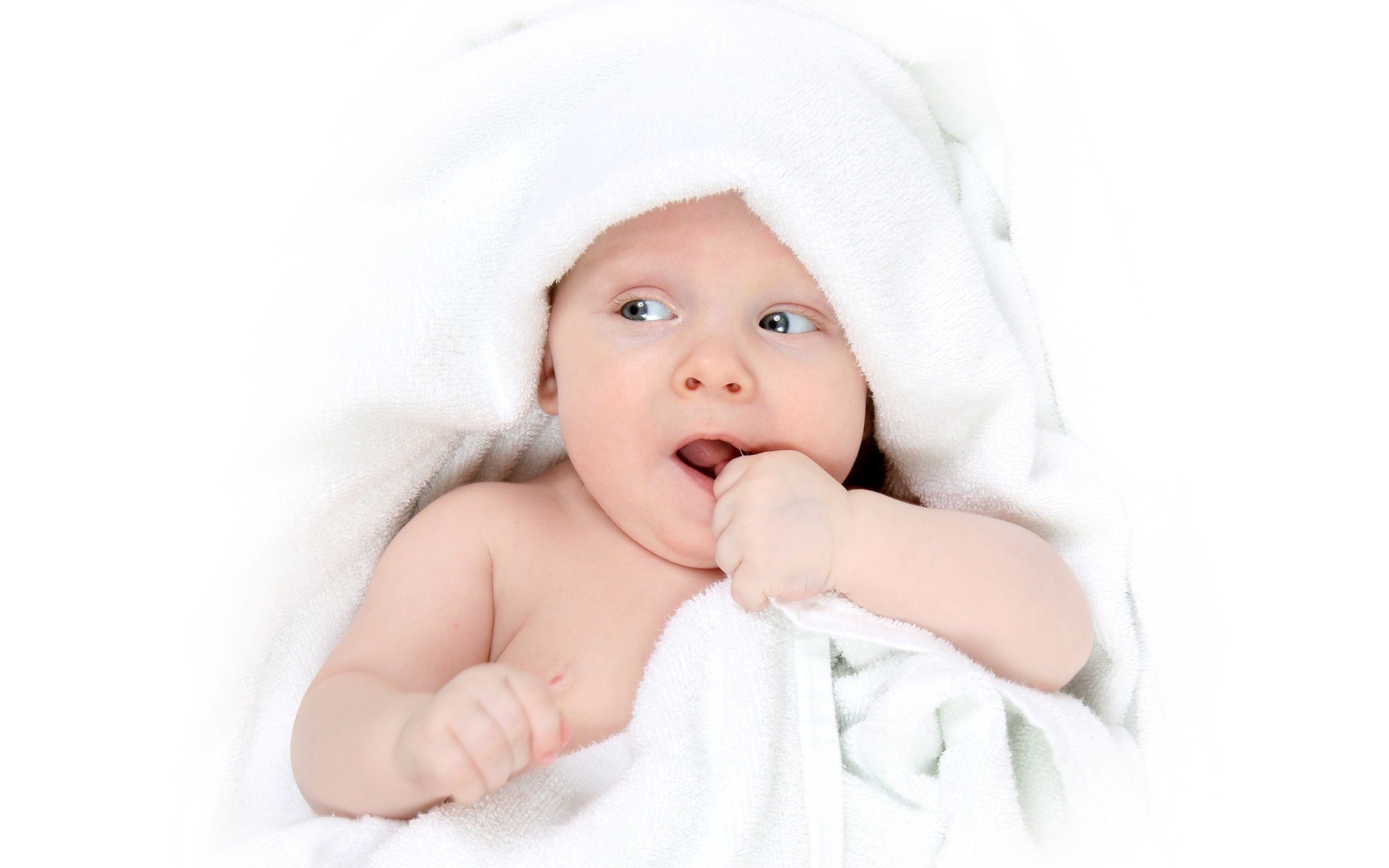 捐卵公司试管婴儿移植成功率